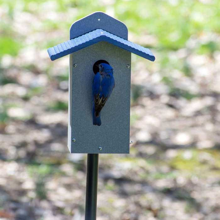 Green Solutions Recycled Poly Bluebird House Blue